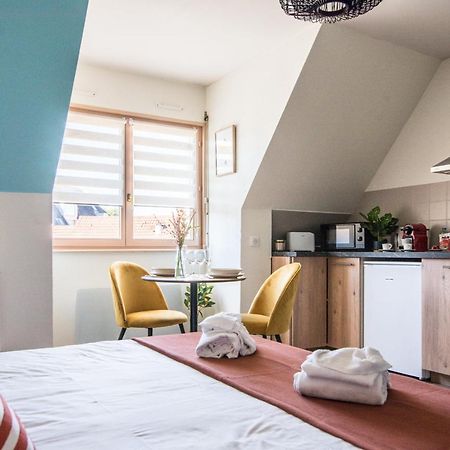 Lumineux - L'Oasis - Parking Prive Leilighet Strasbourg Eksteriør bilde