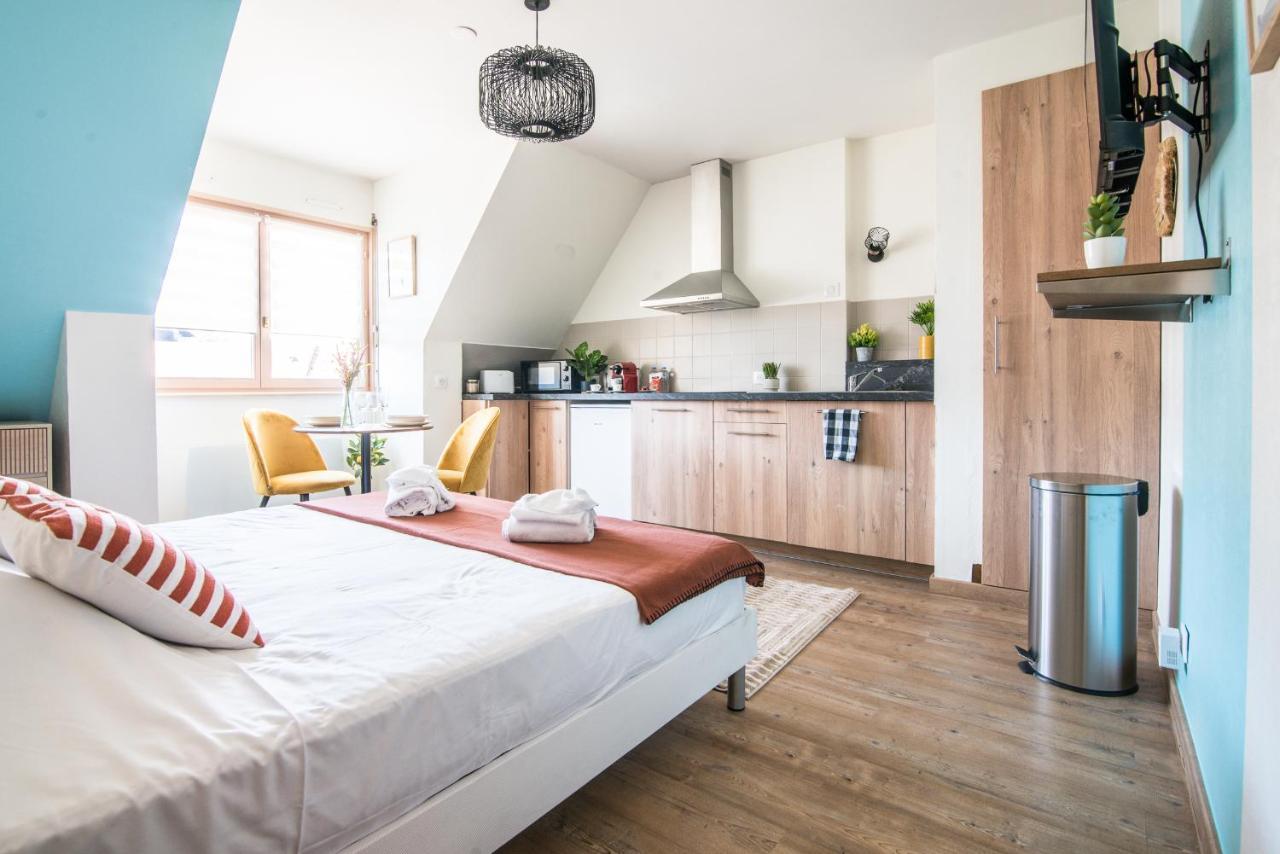 Lumineux - L'Oasis - Parking Prive Leilighet Strasbourg Eksteriør bilde
